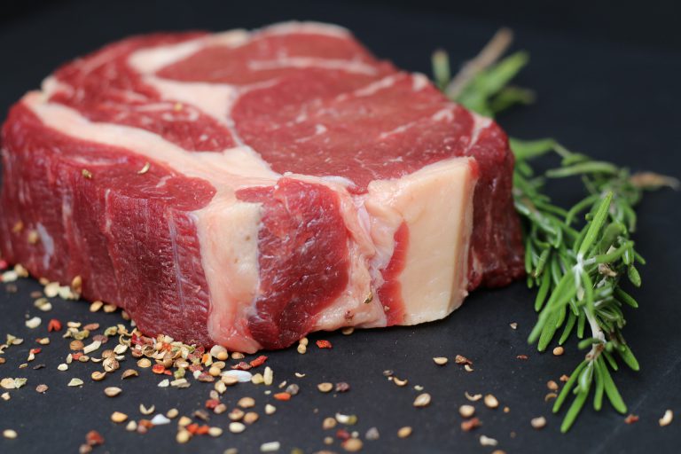 Startup israelense lança missão para produzir carne espacial