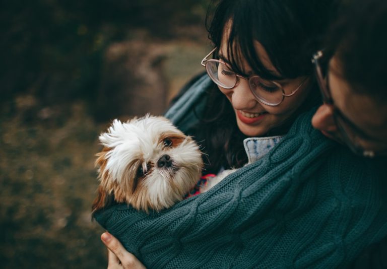 Startup brasileira lança aplicativo de prestação de serviços para o mercado pet nacional