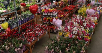 Esalflores mercado de flores em 2021