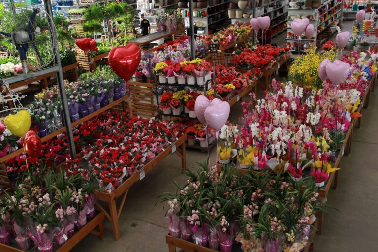 Esalflores mercado de flores em 2021