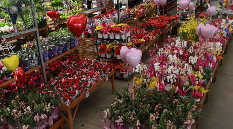 Esalflores mercado de flores em 2021