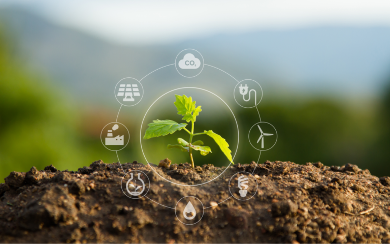 inovação e sustentabilidade