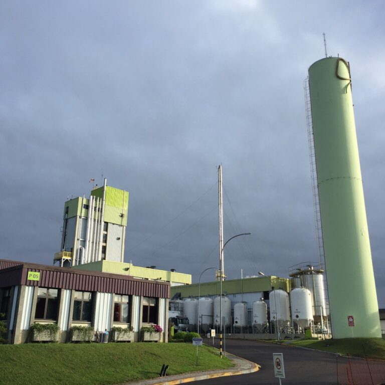 Novozymes empresa