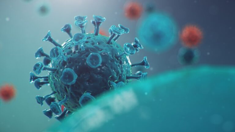 HESLMB covid-19
