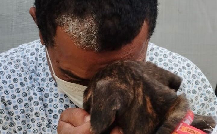 Pet terapia no HCN. Homem abraçando cachorro.