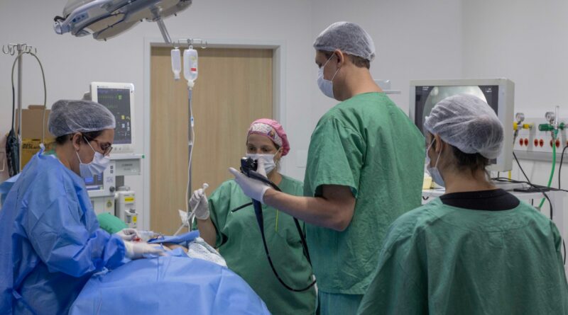 Hospital Municipal da Brasilândia (HMB) proporciona qualidade de vida para pacientes que precisam serem alimentados por sonda | Gastrotomia, unidade gerida por Instítuto de Medicin, Estudos e Desenvolvimento (IMED)