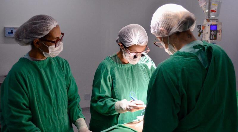 Hospital Estadual do Centro-Norte Goiano - HCN realiza sua 25ª captação de órgãos, destacando a importância da doação e o papel fundamental da equipe médica e da família.