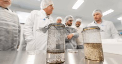 Produção em larga escala da tecnologia Wolbachia no Brasil para controle da dengue e arboviroses.